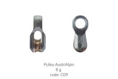 Pulley AustriAlpin