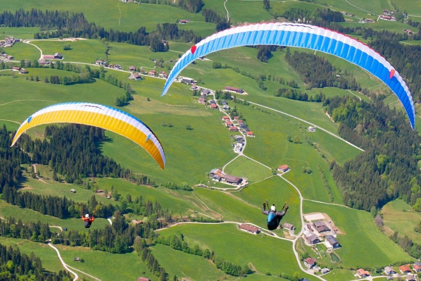 Eden 8 - Size: 21 - XS (60-82 kg)