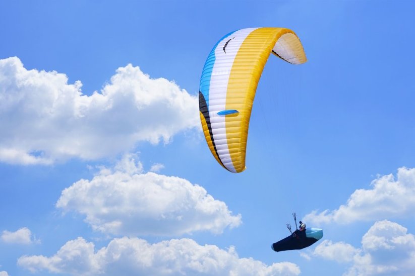 Eden 8 - Size: 23 - S (70-90 kg)