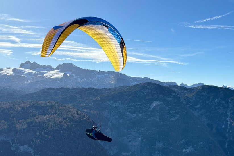 Eden 8 - Size: 23 - S (70-90 kg)