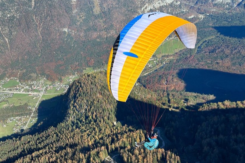 Eden 8 - Size: 23 - S (70-90 kg)