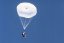 Aegis - Size: 33