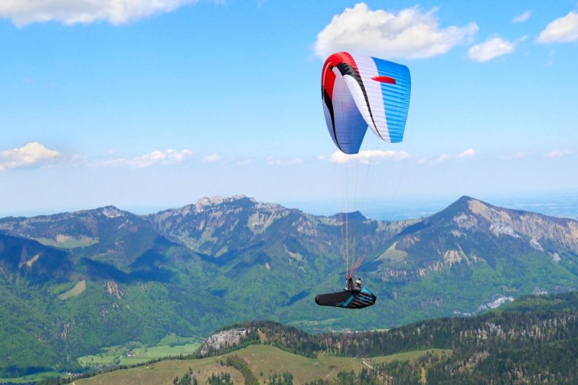 Eden 8 - Size: 21 - XS (60-82 kg)