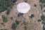 Aegis - Size: 33