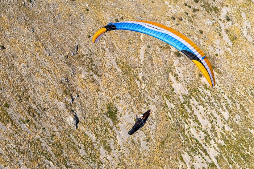 Eden 8 - Size: 21 - XS (60-82 kg)